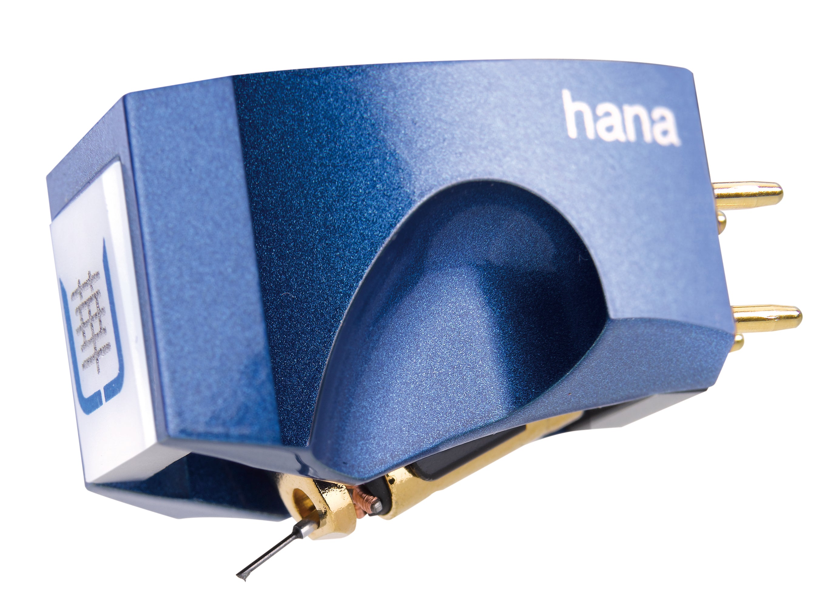 Umami Blue Exchange
